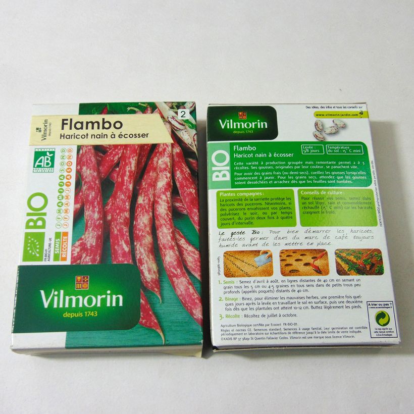 Example of Dwarf Bean for Shelling Flambo - Vilmorin seeds per pack of 200 seeds (100g) specimen as delivered
