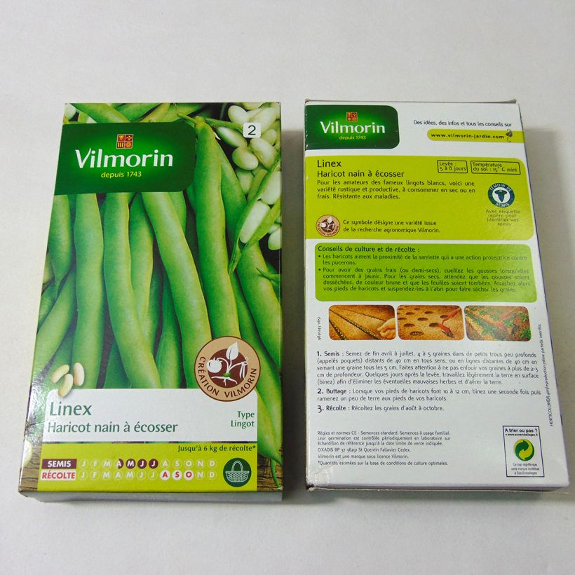 Example of Dwarf shelling bean Linex - Vilmorin seeds per pack of 400 seeds (200g) specimen as delivered
