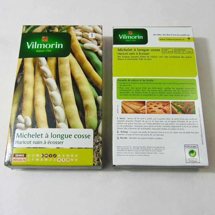 Example of Bush Shell Bean Michelet à Longue Cosse - Vilmorin Seeds per pack of 400 seeds (200g) specimen as delivered