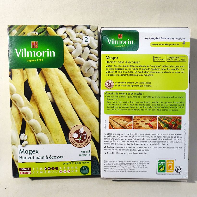 Example of Bush Shell Bean Mogex - Vilmorin Seeds per pack of 75 seeds (90g) specimen as delivered