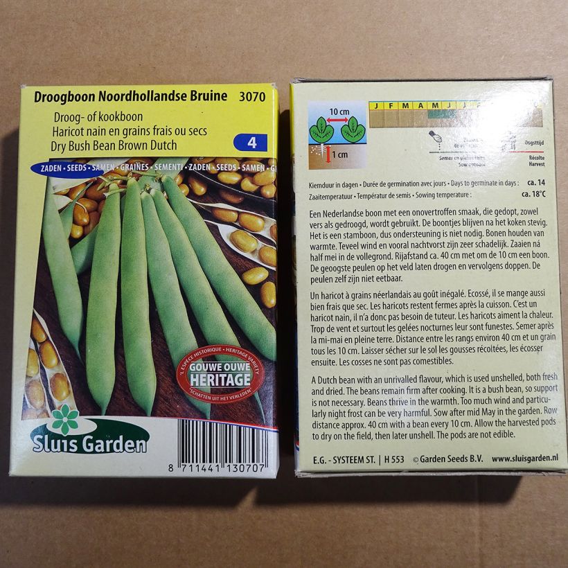 Example of Dwarf Bean for Shelling Noordhollandse Bruine per pack of 200 seeds (100g) specimen as delivered