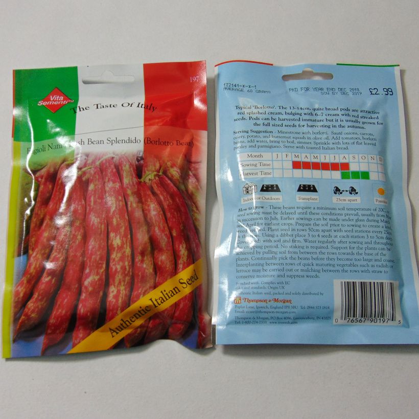 Example of Dwarf Bean for Shelling Splendido - Borlotto Bean per pack of 120 seeds (60g) specimen as delivered