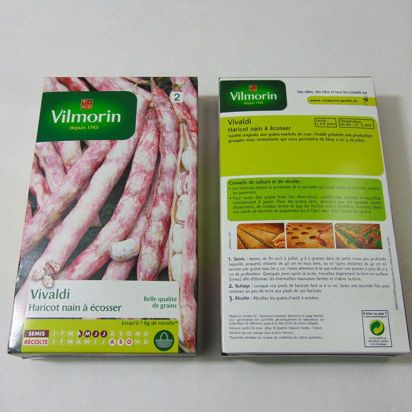 Example of Bush Shell Bean Vivaldi - Vilmorin Seeds Seeds specimen as delivered