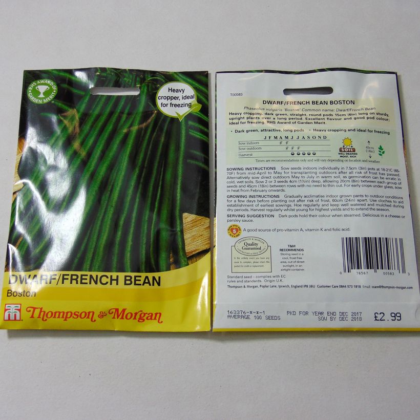 Example of Dwarf Bean with Boston string per pack of 100 seeds specimen as delivered