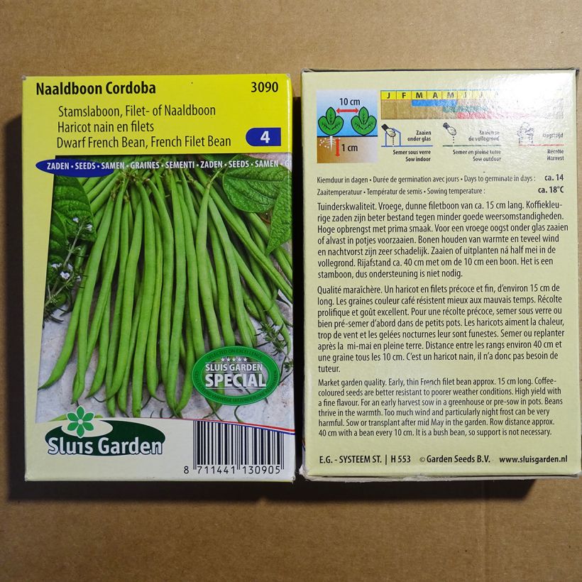 Example of Dwarf Filet Bean Cordoba per pack of 150 seeds (75g) specimen as delivered