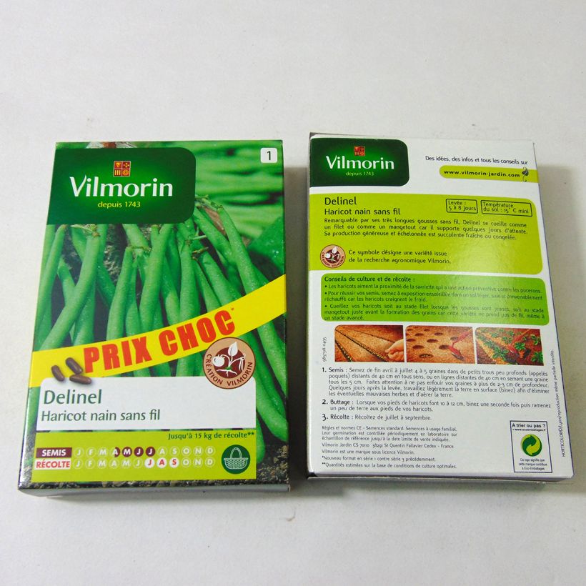 Example of Dwarf Filet Bean Delinel - Vilmorin Seeds per pack of 280 seeds (140g) specimen as delivered