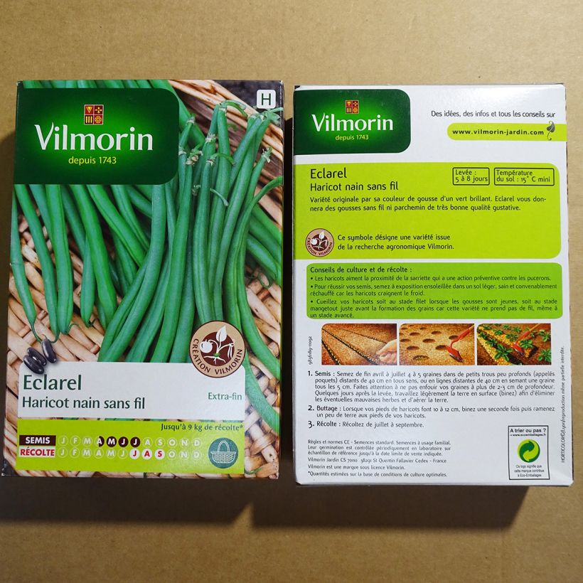 Example of Dwarf Filet Bean Eclarel - Vilmorin Seeds per pack of 200 seeds (100g) specimen as delivered