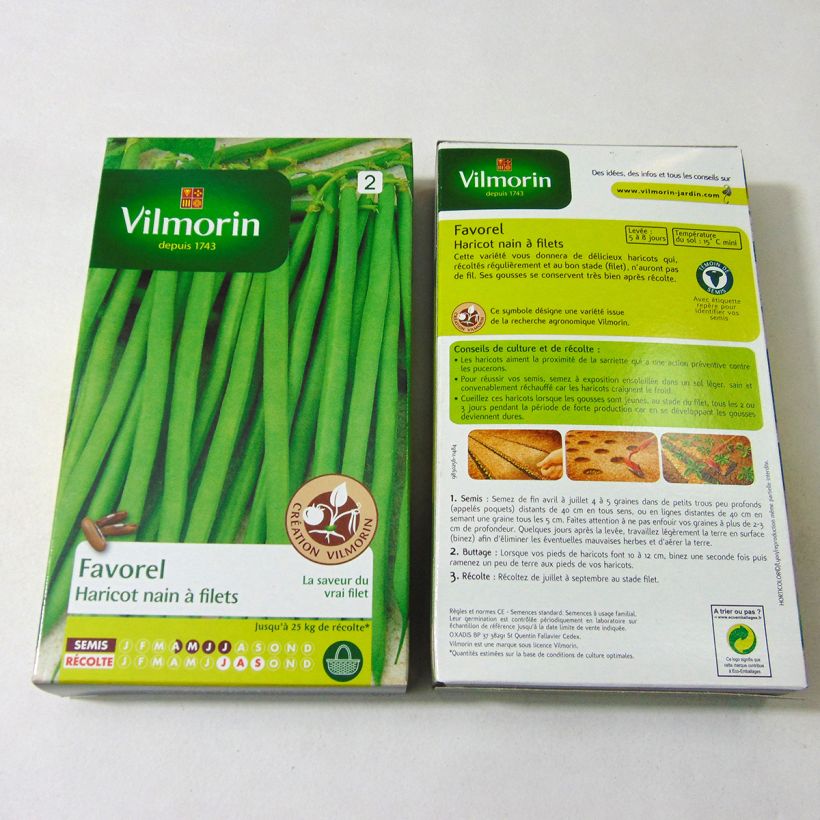 Example of Dwarf Bean with net Favorel - Vilmorin seeds per pack of 400 seeds (200g) specimen as delivered