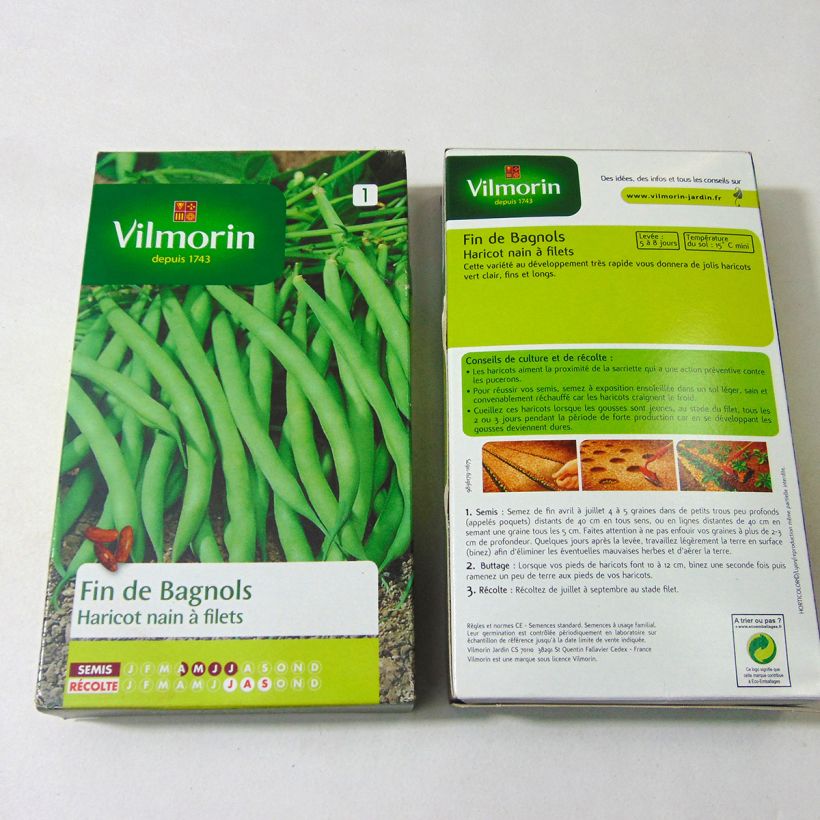 Example of Dwarf Bean with Net Fin de Bagnols - Vilmorin seeds per pack of 500 seeds (250g) specimen as delivered