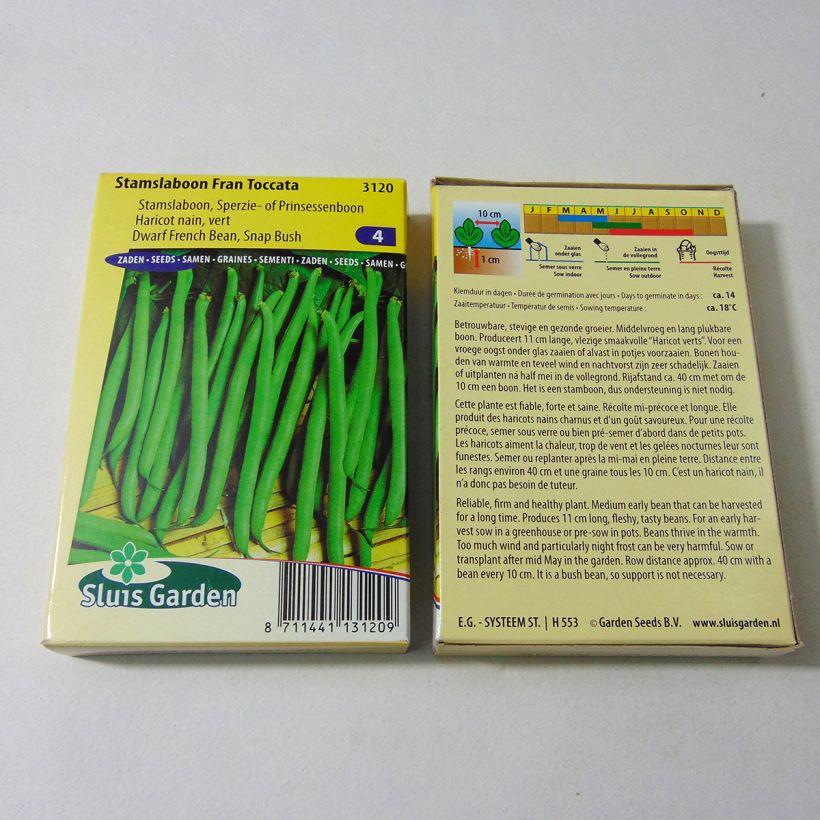 Example of Dwarf Bean with Net Fran Toccata per pack of 150 seeds (75g) specimen as delivered