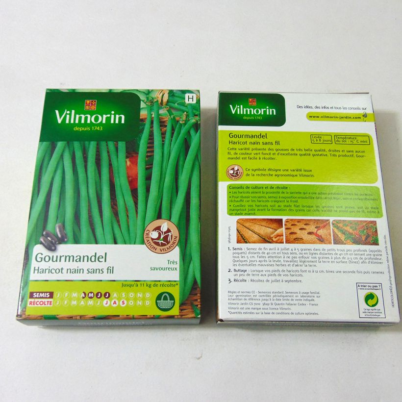 Example of Dwarf Bean with String Gourmandel (Vilmorin seeds Creation) - Vilmorin seeds per pack of 200 seeds (100g) specimen as delivered