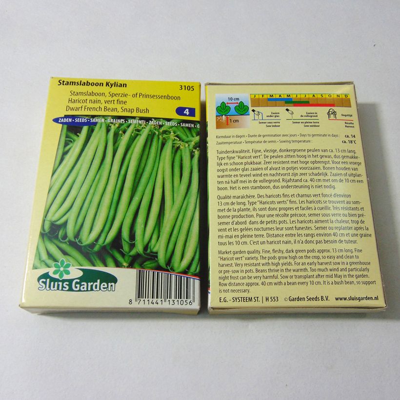 Example of Dwarf Filet Bean Kylian per pack of 150 seeds (75g) specimen as delivered