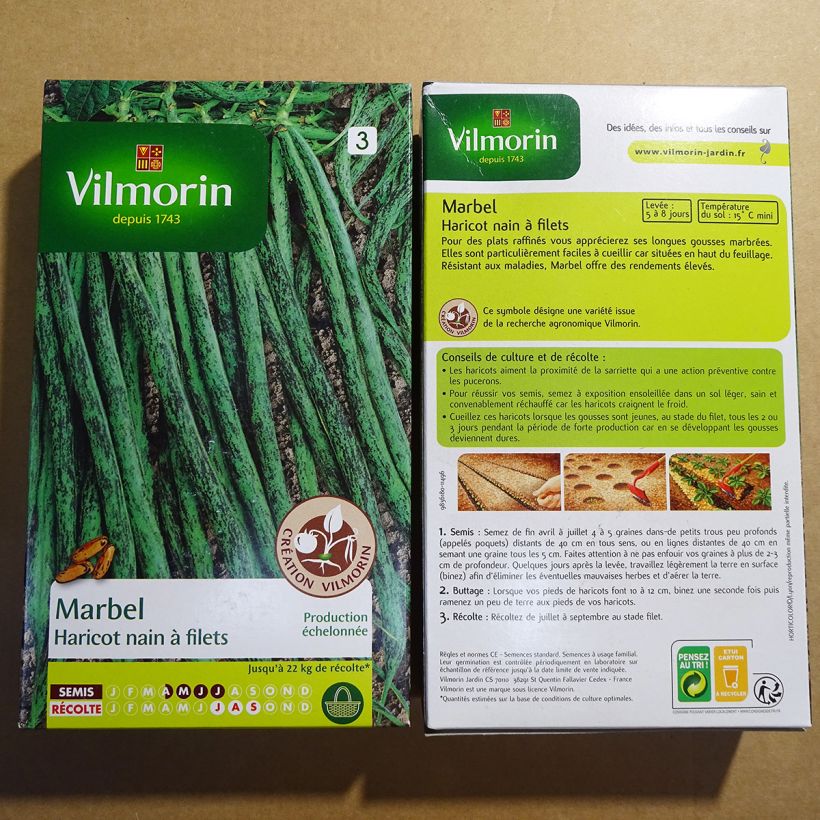 Example of Dwarf Bean with Net Marbel (Creation Vilmorin seeds) - Vilmorin seeds per pack of 400 seeds (200g) specimen as delivered