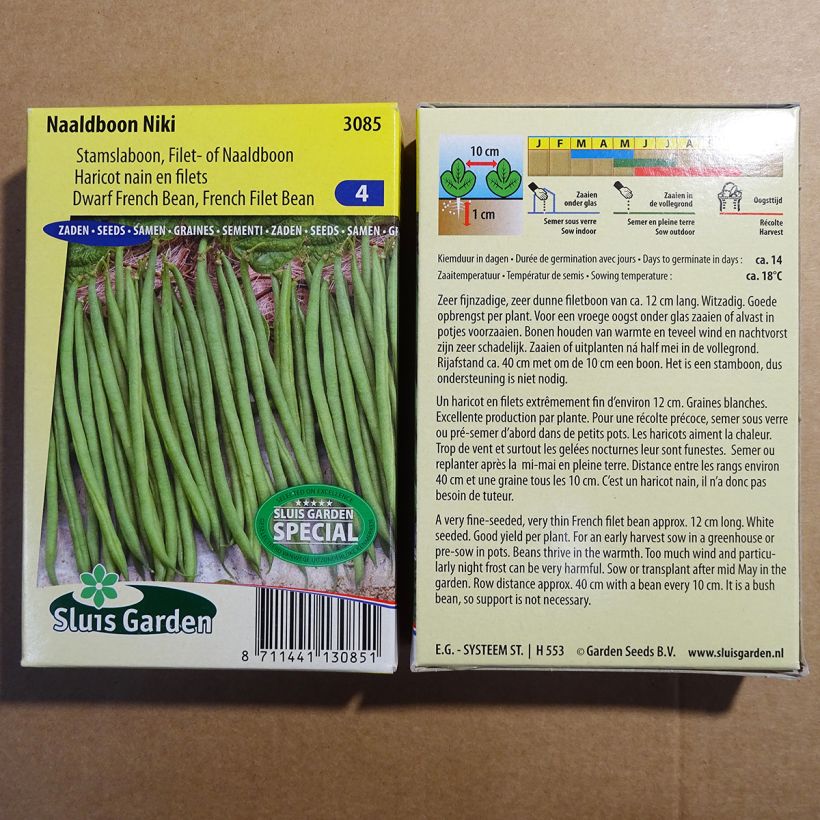 Example of Dwarf Filet Bean Niki per pack of 150 seeds (75g) specimen as delivered