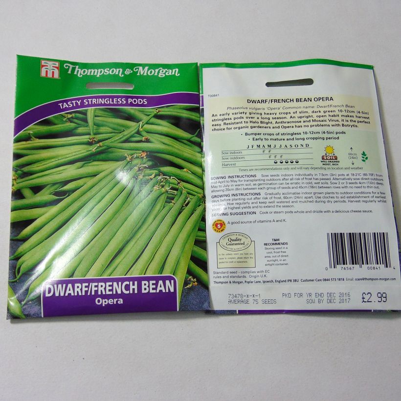 Example of Dwarf Bean with Net Opera per pack of 75 seeds specimen as delivered