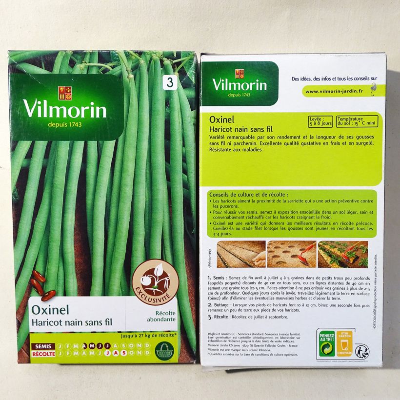 Example of Dwarf Filet Bean Oxinel - Vilmorin Seeds per pack of 400 seeds (200g) specimen as delivered