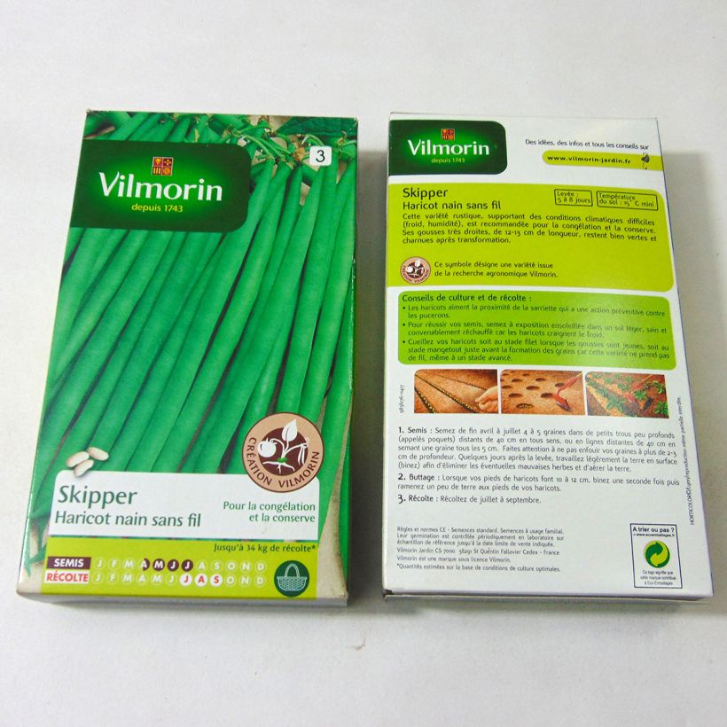 Example of Dwarf Filet Bean Skipper - Vilmorin Seeds per pack of 400 seeds (200g) specimen as delivered