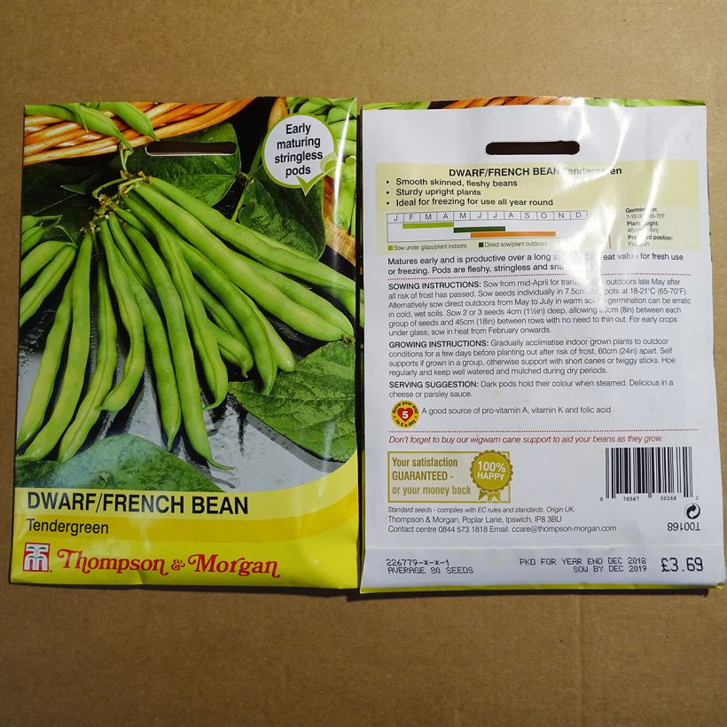 Example of Common bean Tendergreen specimen as delivered