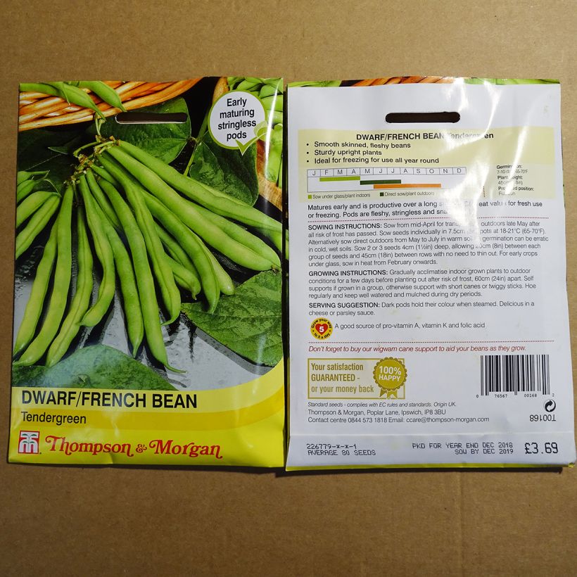 Example of Common bean Tendergreen per pack of 80 seeds specimen as delivered