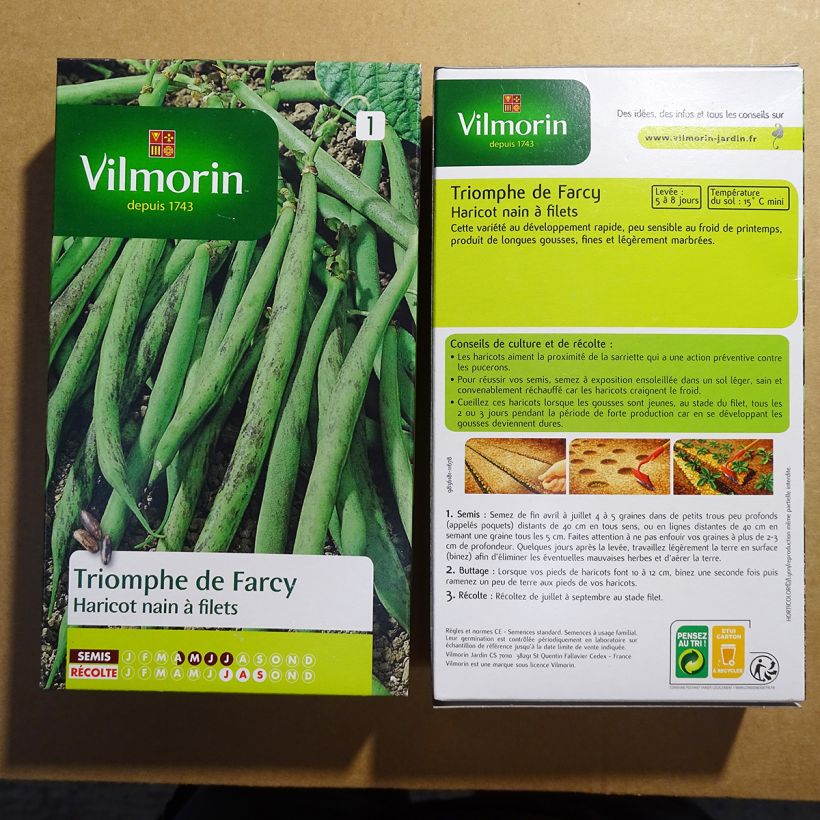 Example of Dwarf Bean with Net Triomphe de Farcy - Vilmorin seeds per pack of 500 seeds (250g) specimen as delivered