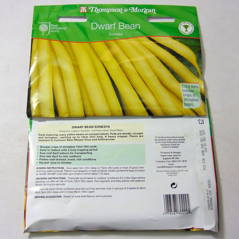 Example of Dwarf French bean with butter pod Sonesta per pack of 125 seeds specimen as delivered