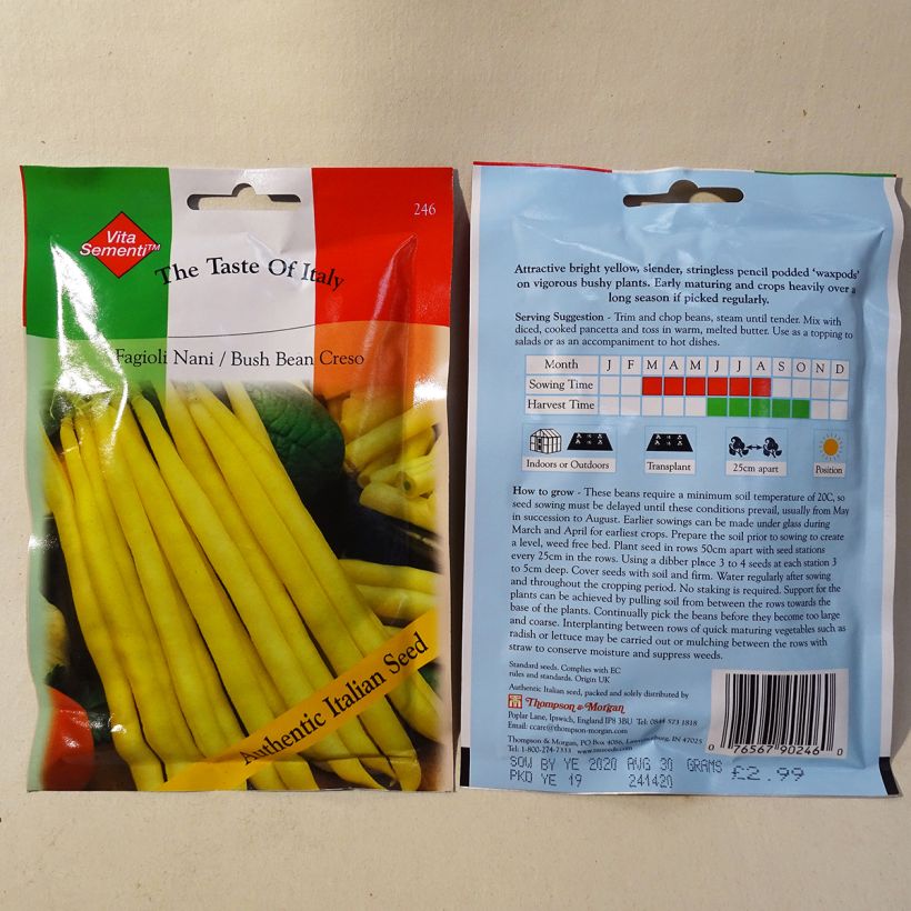 Example of Dwarf Bean Creso with Butter and String per pack of 80 seeds (40g) specimen as delivered