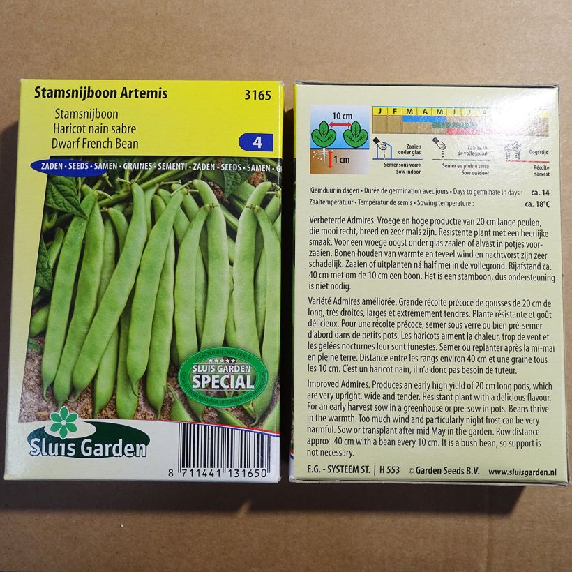 Example of Common bean Artemis per pack of 200 seeds (100g) specimen as delivered