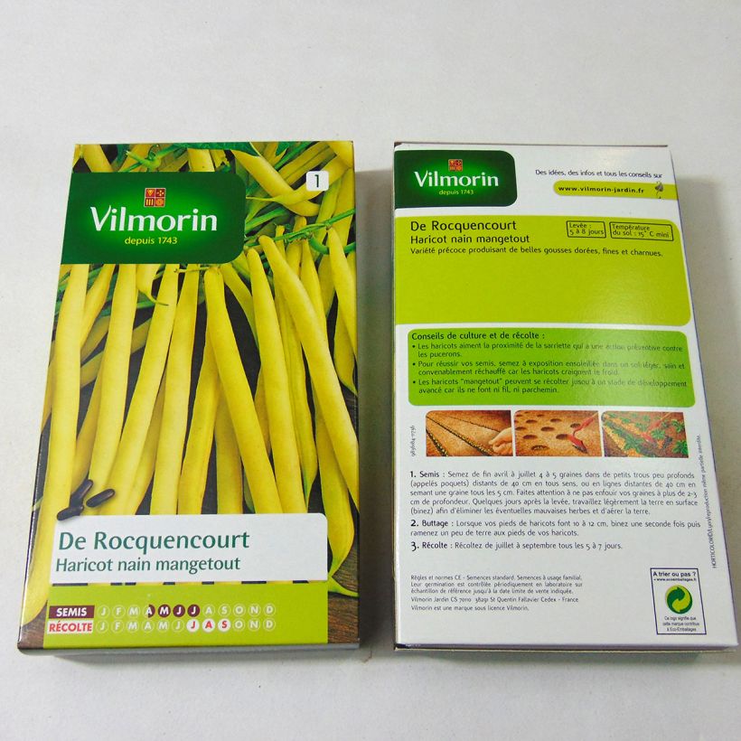 Example of Dwarf French Bean Beurre de Rocquencourt - Vilmorin Seeds per pack of 500 seeds (250g) specimen as delivered