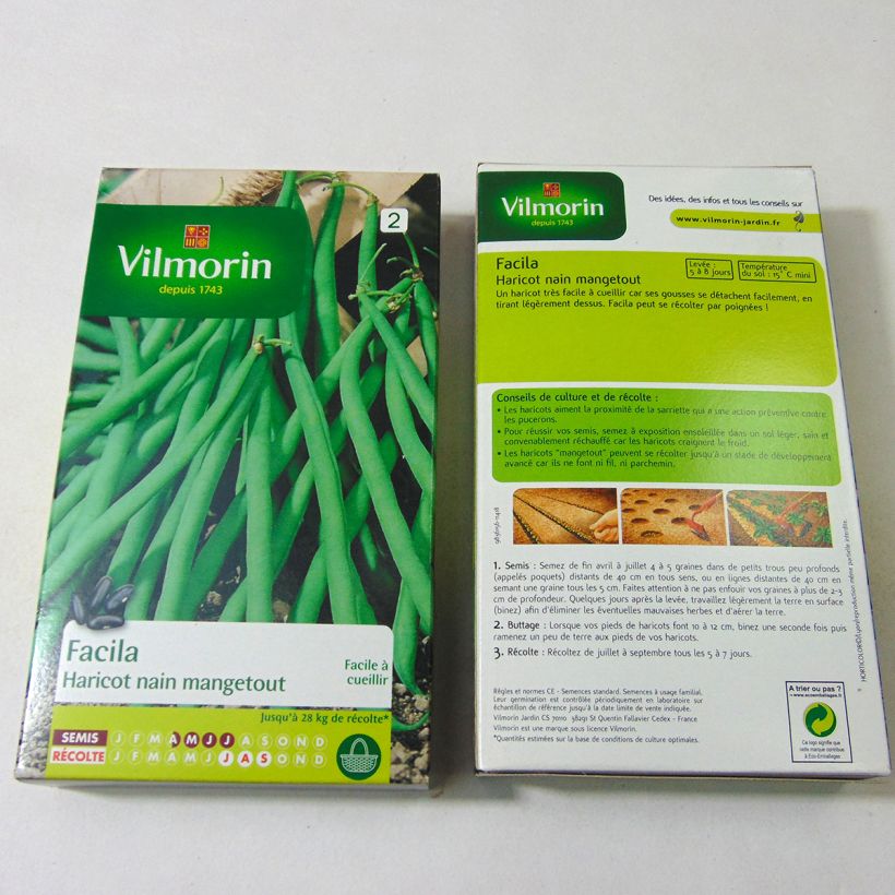 Example of Dwarf French Bean Facila - Vilmorin Seeds per pack of 400 seeds (200g) specimen as delivered