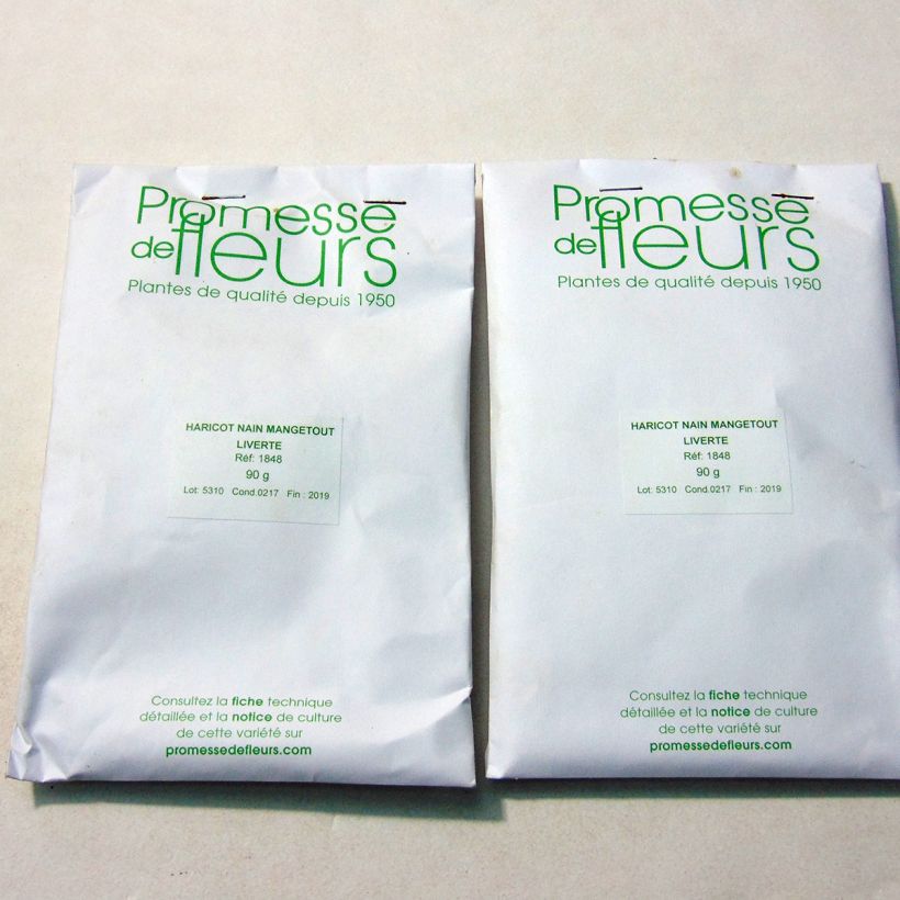 Example of Dwarf snap bean Liverte per pack of 180 seeds (90g) specimen as delivered