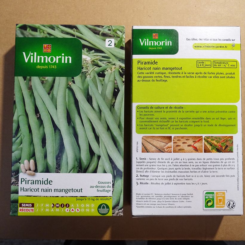 Example of Common bean Piramide per pack of 400 seeds (200g) specimen as delivered