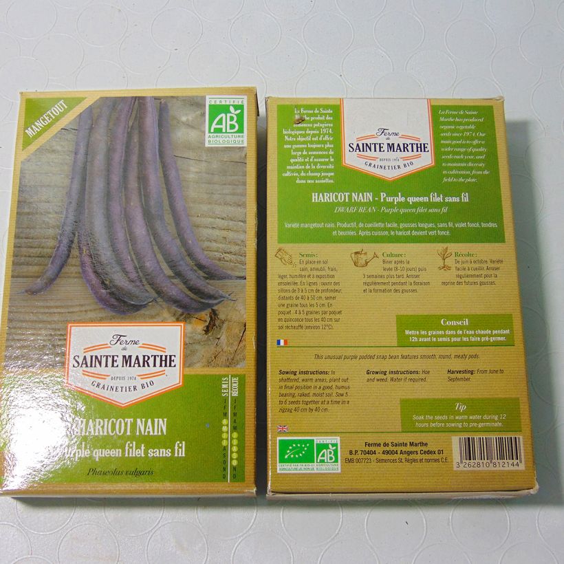 Example of Dwarf French Bean Purple Queen - Ferme de Sainte Marthe Seeds per pack of 160 seeds (80g) specimen as delivered