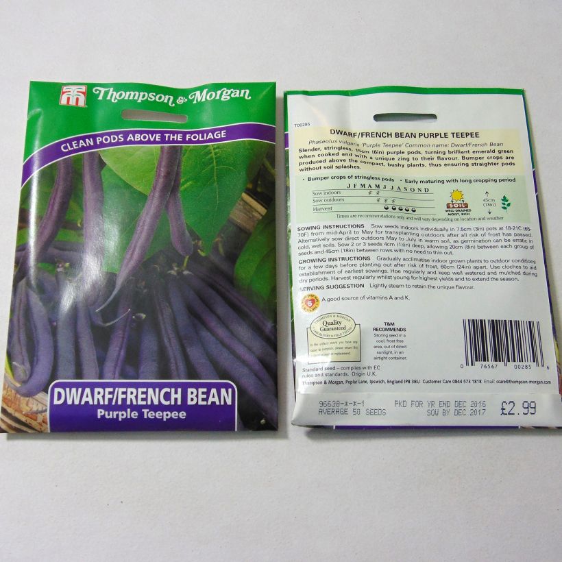 Example of Dwarf snap bean Purple Teepee per pack of 50 seeds specimen as delivered