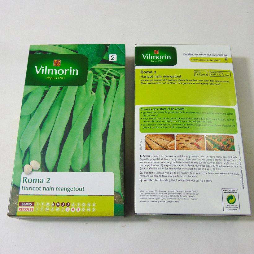 Example of Dwarf Bean Roma 2 - Vilmorin Seeds per pack of 300 seeds (150g) specimen as delivered