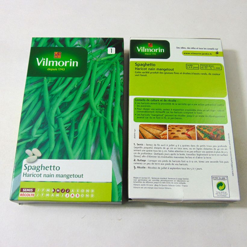 Example of Common bean Spaghetto per pack of 350 seeds (175g) specimen as delivered