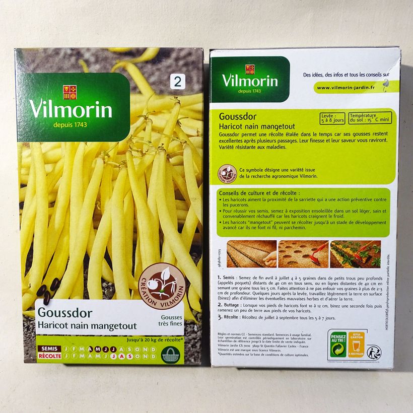 Example of Dwarf French Bean Goussdor - Vilmorin Seeds per pack of 400 seeds (200g) specimen as delivered