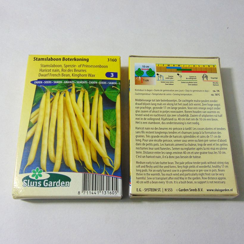 Example of Common bean Roi des Beurres per pack of 180 seeds (90g) specimen as delivered