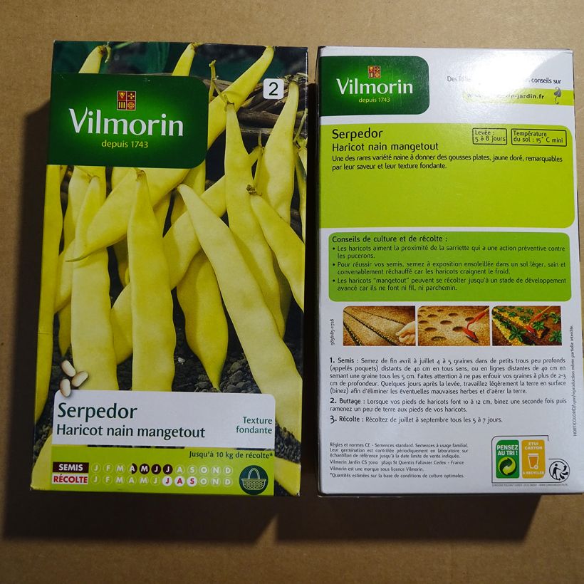 Example of Dwarf French Wax Bean Serpedor - Vilmorin Seeds per pack of 400 seeds (200g) specimen as delivered