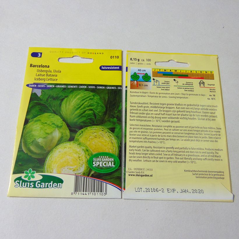 Example of Lettuce Barcelona - Crisphead lettuce per pack of 100 seeds specimen as delivered