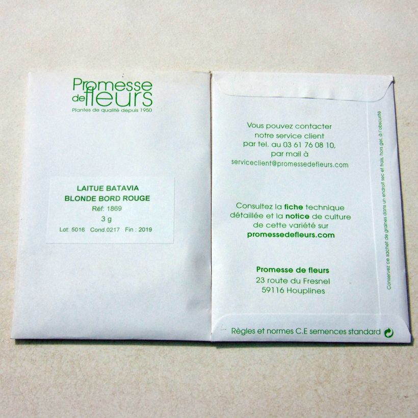 Example of Batavia Lettuce Blonde à bord rouge - Lactuca sativa per pack of 2500 seeds (3g) specimen as delivered