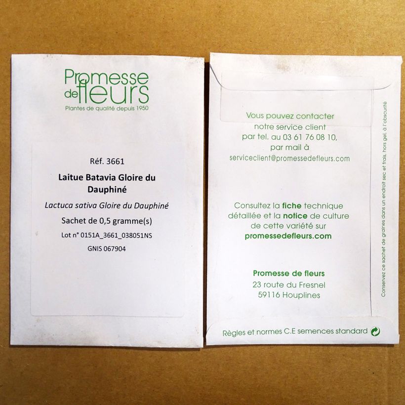 Example of Batavia Lettuce Gloire du Dauphiné - Lactuca sativa per pack of 400 seeds specimen as delivered