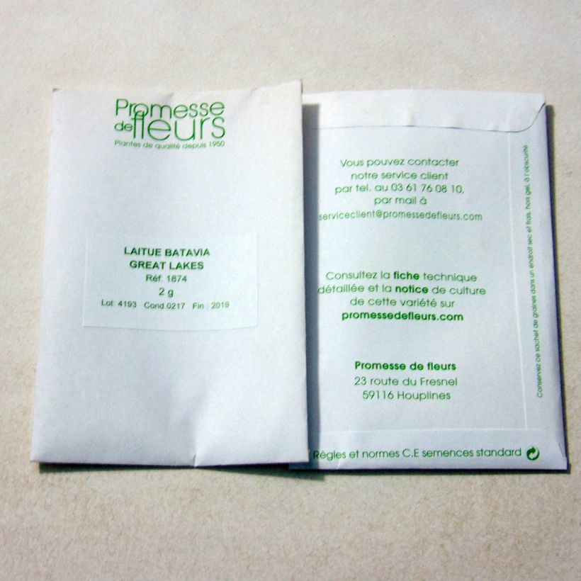 Example of Batavia Lettuce Great Lakes 118 - Lactuca sativa per pack of 1600 seeds (2g) specimen as delivered