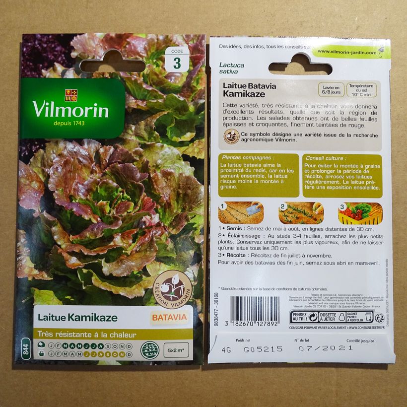 Example of Iceberg Lettuce Kamikaze - Vilmorin seeds creation per pack of 3200 seeds (4g) specimen as delivered