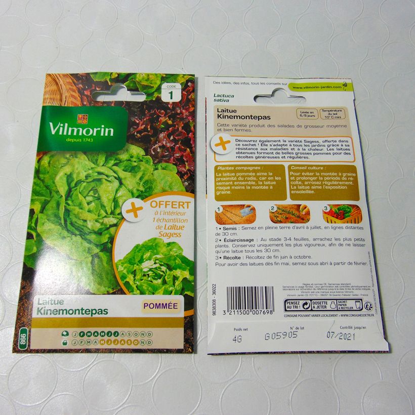 Example of Butterhead Lettuce Kinemontepas + sample Lettuce Sagess - Vilmorin Seeds per pack of 3200 seeds (4g) specimen as delivered