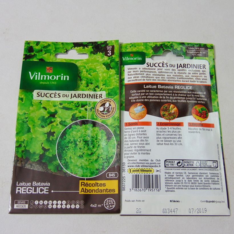 Example of Batavian Lettuce Reglice F1 - Vilmorin creation seeds per pack of 1600 seeds (2g) specimen as delivered