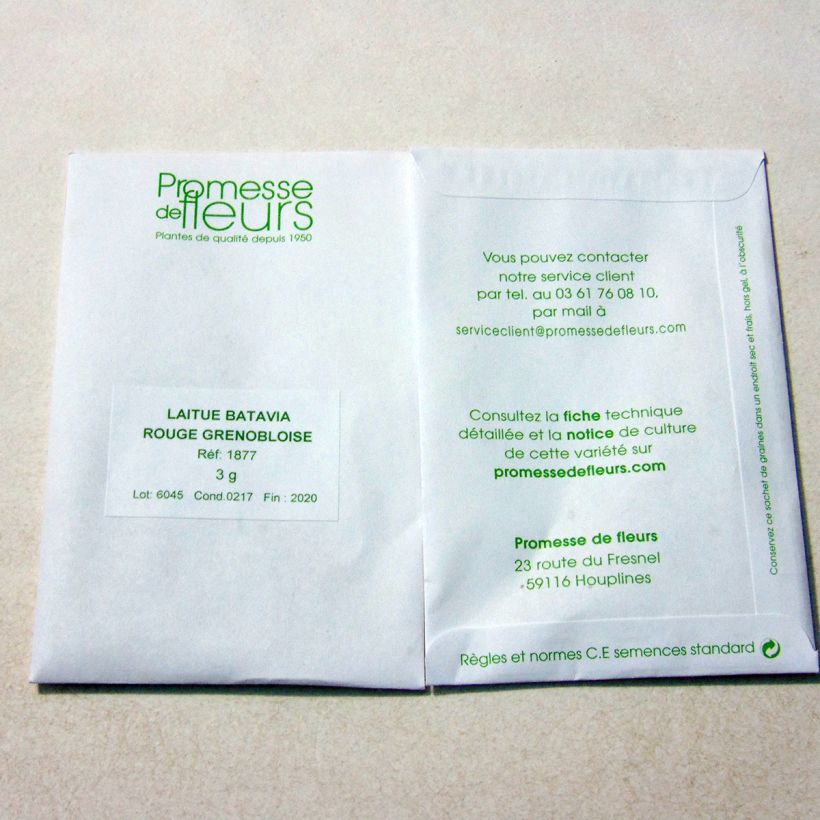 Example of Batavia Lettuce Rouge Grenobloise - Lactuca sativa per pack of 2500 seeds (3g) specimen as delivered