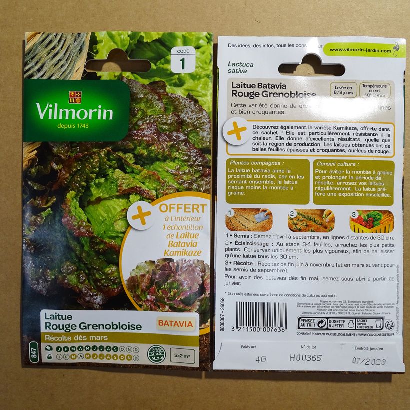 Example of Batavian Lettuce Rouge Grenobloise + sample Lettuce Kamikaze - Vilmorin seeds per pack of 3200 seeds (4g) specimen as delivered