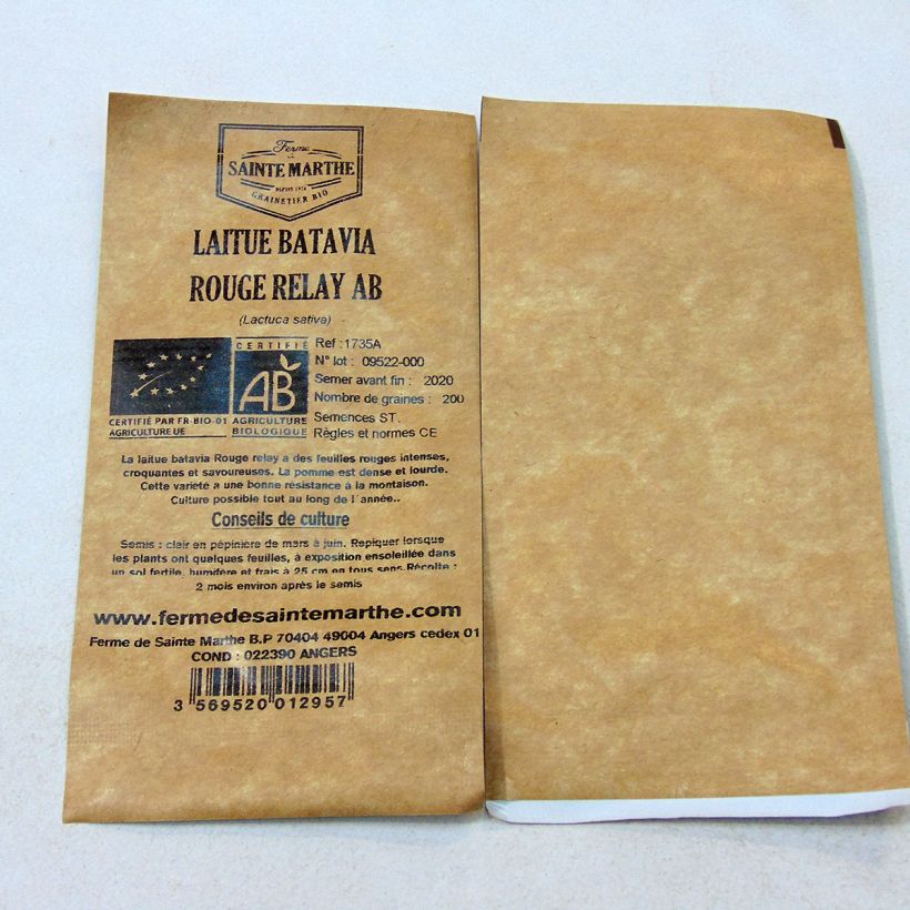 Example of Organic Batavia Lettuce Rouge Relay - Ferme de Sainte Marthe seeds - Lactuca sativa per pack of 200 seeds specimen as delivered