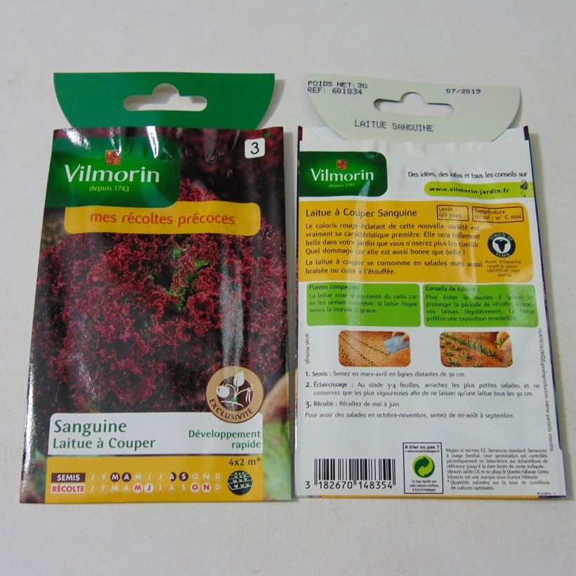Example of Batavia Lettuce Sanguine - Vilmorin seeds - Lactuca sativa per pack of 2400 seeds (3g) specimen as delivered