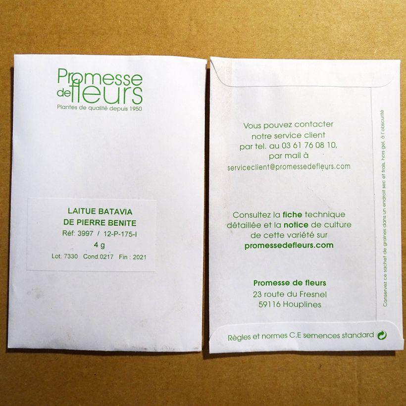 Example of Batavia Lettuce de Pierre Bénite - Lactuca sativa per pack of 2500 seeds (3g) specimen as delivered